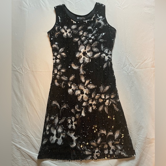 Beautiful Sequin Dress - Picture 1 of 4